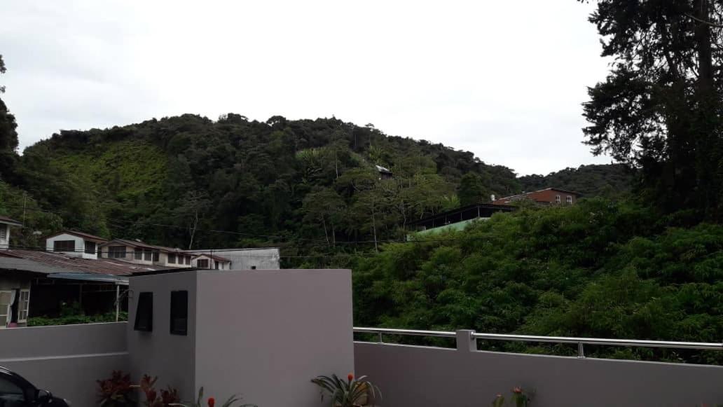 Tulip Hotel & Apartment Cameron Highlands Esterno foto